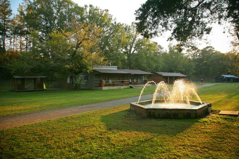 Panther Valley Ranch Morning Star